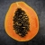 Nasiona Papaya Melonowiec żółta Afr27