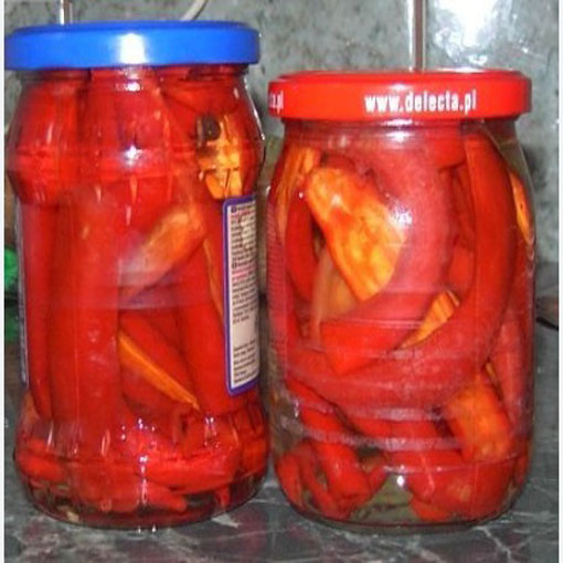 Papryka Thai Red Chilli ostra, Capsicum annuum
