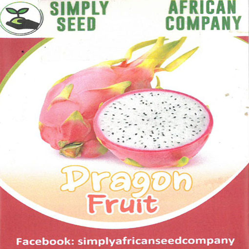 Smoczy owoc Pitaja Dragon fruit, Pitahaya, Hylocereus undatus