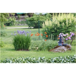 nasiona Mak wschodni szt.10 Flxx101