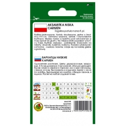 Nasiona Aksamitka pełna niska Carmen pnos609