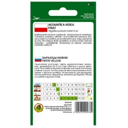 Nasiona Aksamitka pełna niska Pirat pnos616