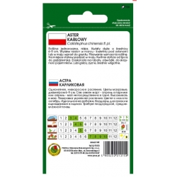 Nasiona Aster karłowy żółty pnos647