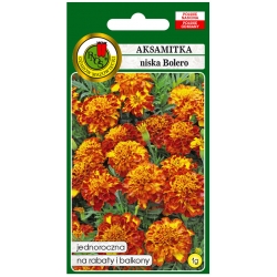 Nasiona Aksamitka pełna Bolero miod-mahon pnos608