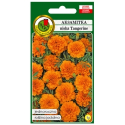 Nasiona Aksamitka pełna niska Tangerine pnos617