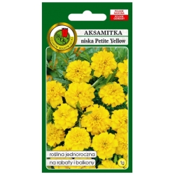 Nasiona Aksamitka pełna Petite żółta pnos613