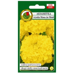 Nasiona Aksamitka wysoka Mann im Mond pnos620
