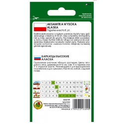 Nasiona Aksamitka pełna wysoka Alaska pnos618