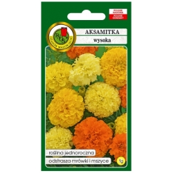 Nasiona Aksamitka pełna wysoka Mix pnos622