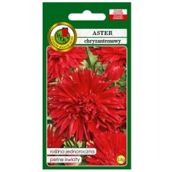 Nasiona Aster chryzantemowy czerwony pnos627