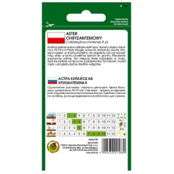 Nasiona Aster chryzantemowy czerwony pnos627
