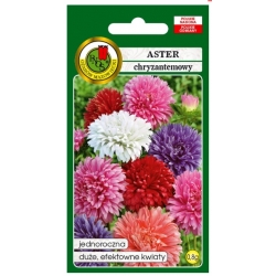 Nasiona Aster chryzantemowy mieszany pnos628
