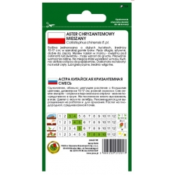 Nasiona Aster chryzantemowy mieszany pnos628