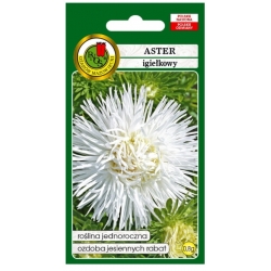 Nasiona Aster igiełkowy biały pnos632