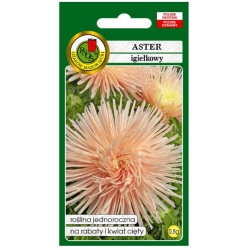 Nasiona Aster igiełkowy Ewa pnos634