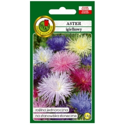 Nasiona Aster igiełkowy mieszany pnos635