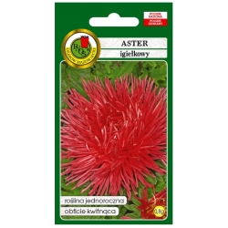 Nasiona Aster igiełkowy Ognisty Ptak pnos636