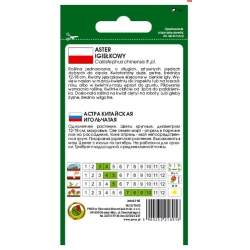 Nasiona Aster igiełkowy Ognisty Ptak pnos636