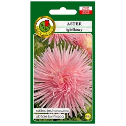 Nasiona Aster igiełkowy różowy pnos638