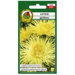 Nasiona Aster igiełkowy żółty pnos640