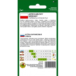 Nasiona Aster karłowy mieszany pnos643