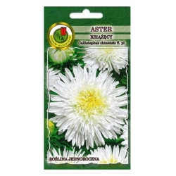 Nasiona Aster książęcy biały pnos648