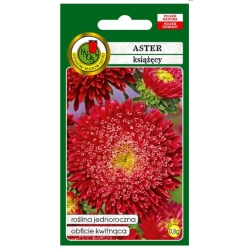 Nasiona Aster książęcy czerwony pnos649
