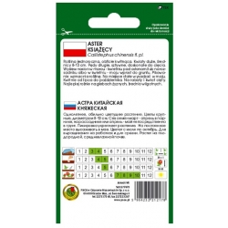 Nasiona Aster książęcy czerwony pnos649