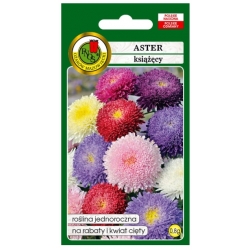 Nasiona Aster książęcy mieszany pnos650