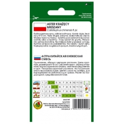 Nasiona Aster książęcy mieszany pnos650