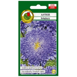 Nasiona Aster książęcy niebieski pnos651