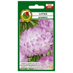 Nasiona Aster peoniowy białoróż pnos655