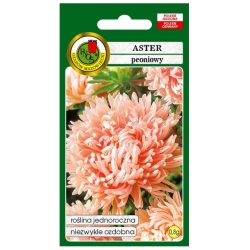 Nasiona Aster peoniowy łosoś-róż pnos658