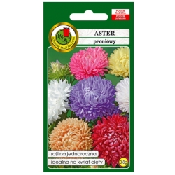 Nasiona Aster peoniowy mix pnos659