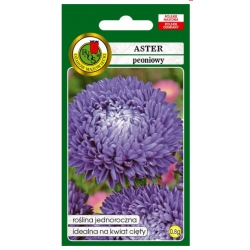 Nasiona Aster peoniowy niebieski pnos654