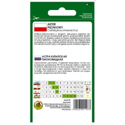 Nasiona Aster peoniowy niebieski pnos654