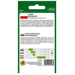 Nasiona Aster peoniowy róż-purp pnos660