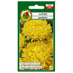 Nasiona Aster peon Sonata żółty pnos661