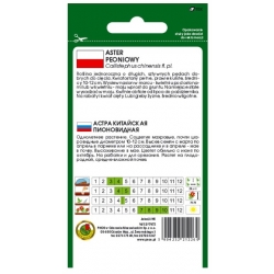 Nasiona Aster peon Sonata żółty pnos661