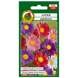 Nasiona Aster pojedynczy mieszany pnos662