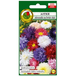Nasiona Aster wysoki mieszany pnos665