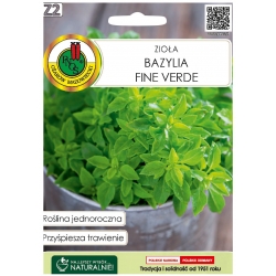Nasiona Bazylia Fine Verde pnos529