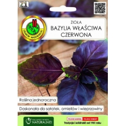 Nasiona Bazylia właściwa czerwona pnos514