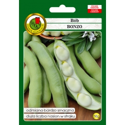 nasiona Bób Bonzo pnos4