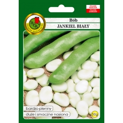 nasiona Bób Jankiel Biały pnos6