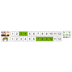 nasiona Bób Jankiel Biały pnos6