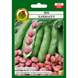 nasiona Bób Karmazyn pnos7