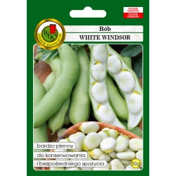 nasiona Bób White Windsor pnos8