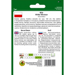 nasiona Bób White Windsor pnos8