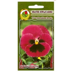 Nasiona Bratek szwajcarski Blumlisalp pnos670